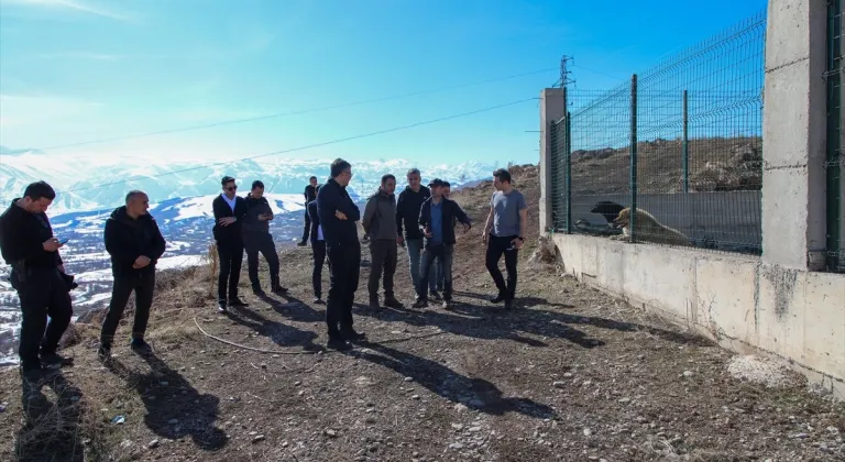 Hakki Valisi Çelik, sokak hayvanları için kurulacak doğal yaşam alanlarını inceledi