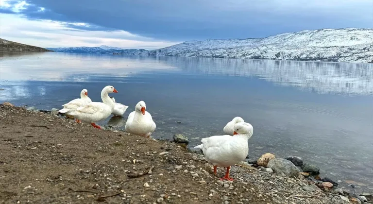 Hazarbaba Dağı ilkbaharda beyaza büründü