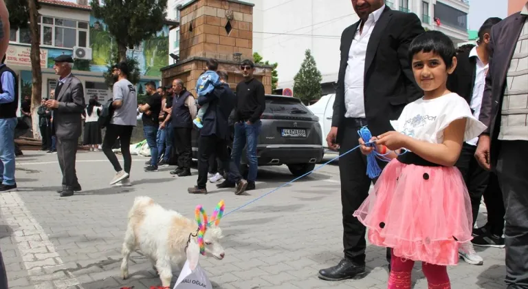 Iğdır'da kuzu, oğlak ve buzağılar "güzellikleriyle" yarıştı