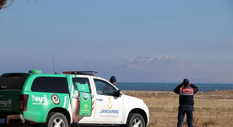 Jandarma göçmen kuş nöbetinde