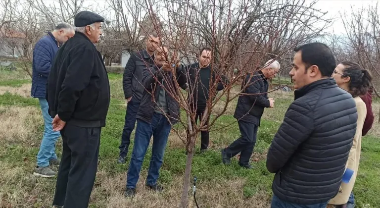 Kale'de kayısı yetiştiriciliği ve zirai mücadele eğitimi verildi