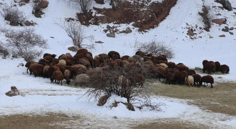 Kar yağışıyla beyaza bürünen Iğdır'ın dağ köylerinde kış çetin geçiyor