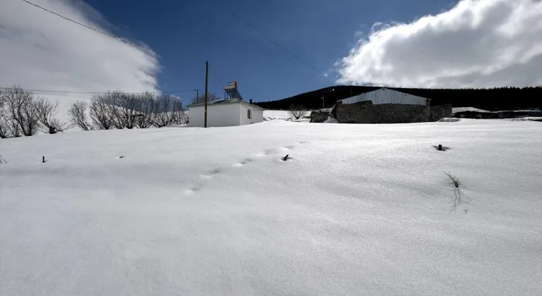 Kars ile Ardahan'da kar ve soğuk hava etkili oldu