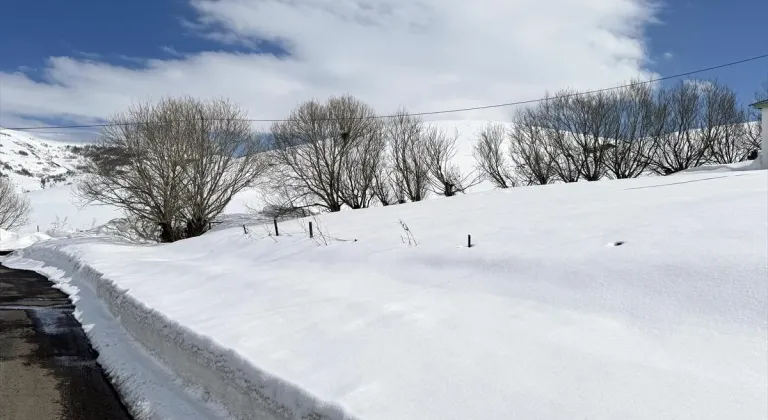 Van, Hakkari, Bitlis ve Muş'ta 234 yerleşim yerinin yolu açıldı