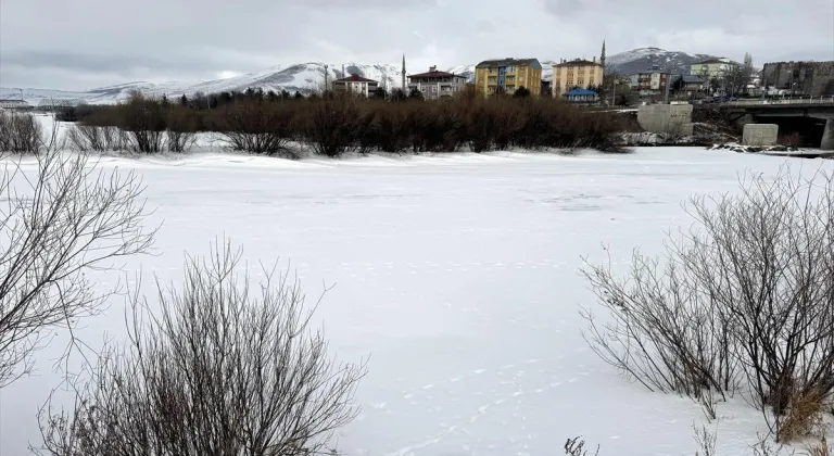 Kars ve Ardahan'da göletler dondu, Tunceli'de bitkiler kırağıyla kaplandı