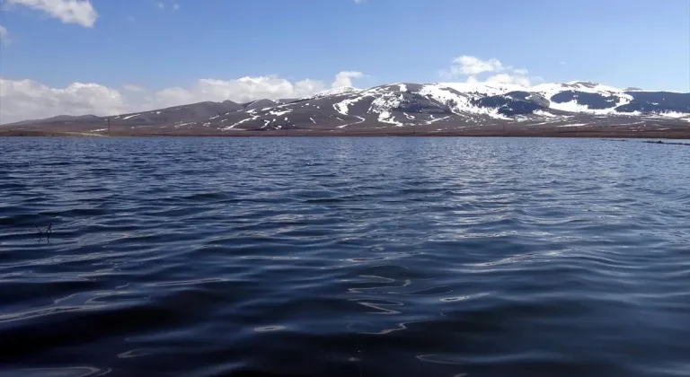 Kars'ın kar sularıyla canlanan eşsiz doğasında ilkbahar güzelliği