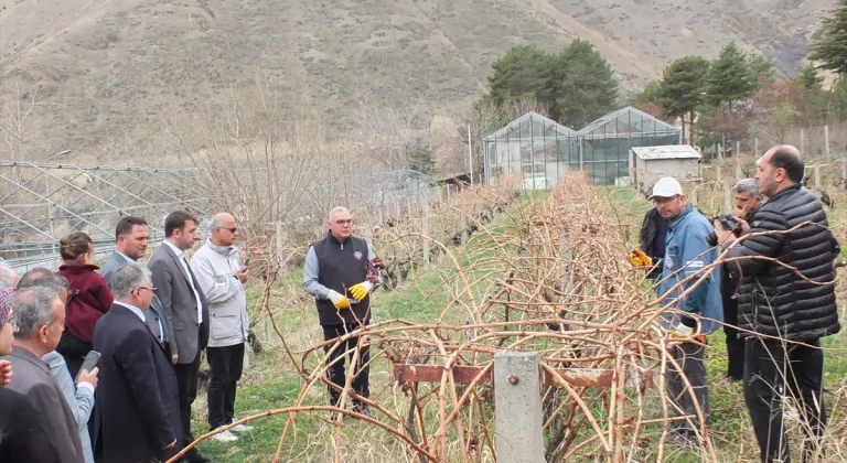 Keban'da çiftçilere uygulamalı bağ budama eğitimi