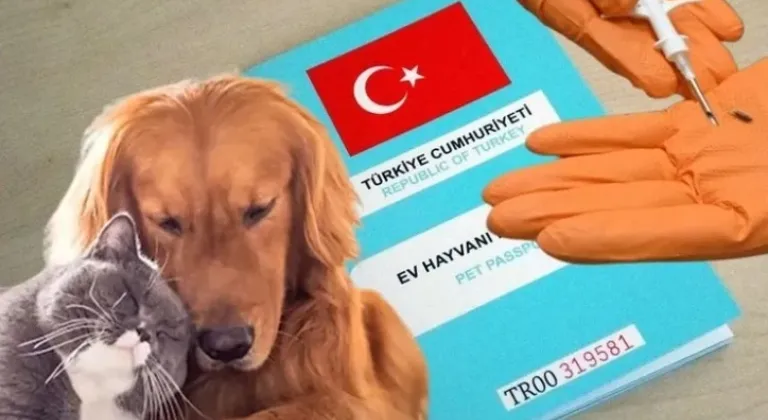 Kedi ve Köpeklerin Kimliklendirilmesi Süresi 2025’e Kadar Uzatıldı!