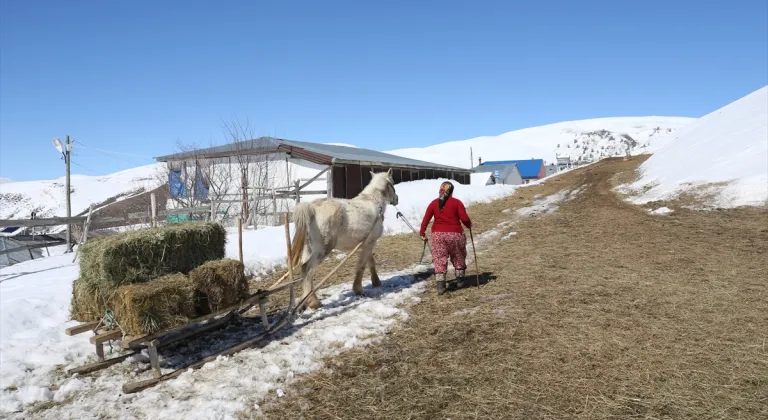 Kırsalda besicilik yapan kadınlar, hayatın zorluklarına göğüs geriyor