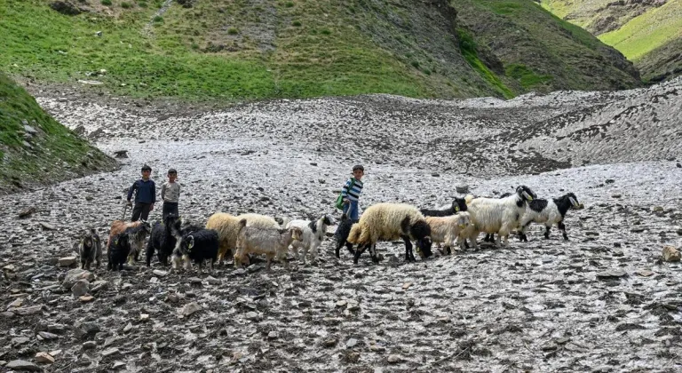 Kışın düşen çığ, yazın tarlalara "can suyu" oldu