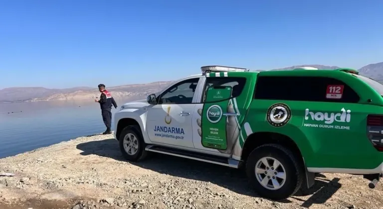 Malatya'da kuşlar için doğaya yem bırakıldı