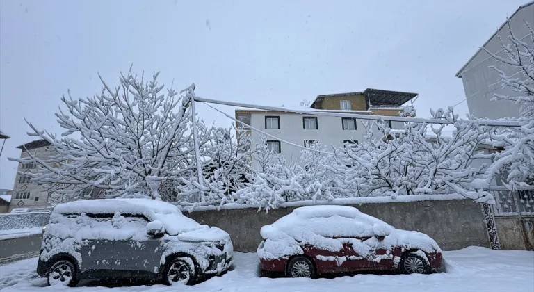 Malatya'da kar etkisini sürdürüyor