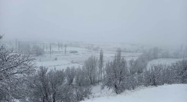 Malatya'da kar yağışı etkili oldu