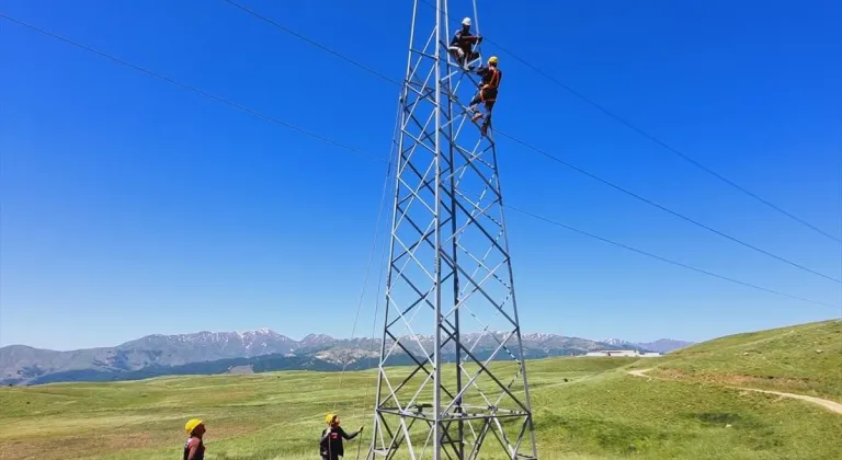 Muş'ta ekipler, elektrik şebekesini güçlendiriyor