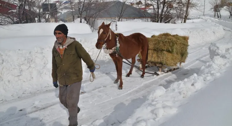 Muş'ta karla kaplı köylerde besiciler hayvanlarına kızakla ot taşıyor