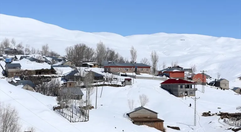 Muş'taki bazı köylerde tek katlı evler ve ahırlar karla kaplandı