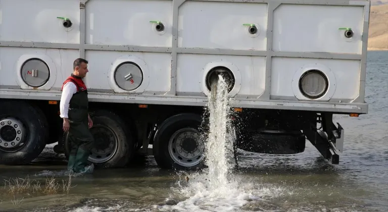 Muş'taki su kaynaklarına 4 milyonu aşkın sazan balığı yavrusu bırakıldı