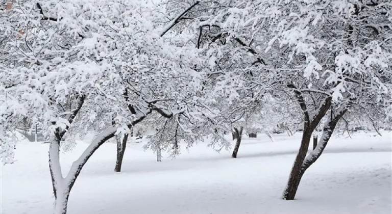 Samsun, Ordu ve Giresun'da kuvvetli kar yağışı bekleniyor