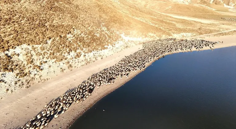 Sürülerin Nemrut Dağı'na tozlu yolculuğu