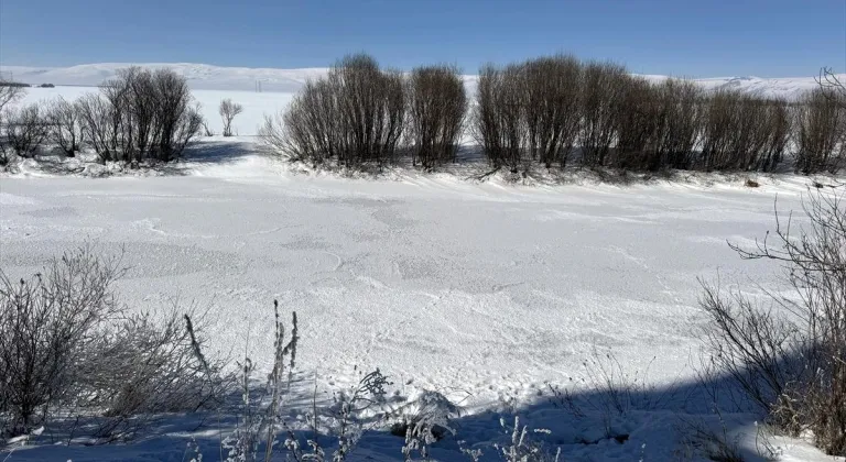 Termometrelerin eksi 23 dereceyi gösterdiği Ardahan buz kesti