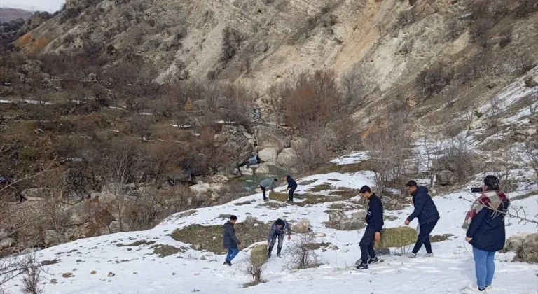 Tunceli'de üniversite öğrencileri yaban hayvanları için doğaya yem bıraktı