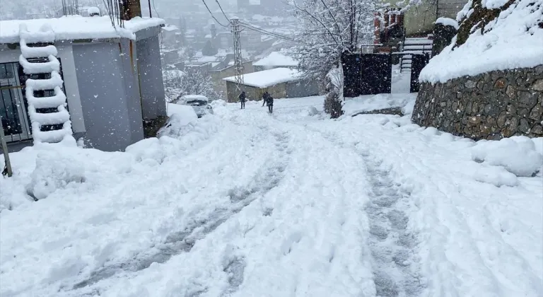 Van, Bitlis, Muş ve Hakkari'de 431 yerleşim yerinin yolu kardan kapandı