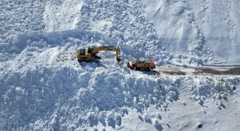 Van, Bitlis ve Hakkari'de kardan kapanan 372 yerleşim biriminin yolu açıldı