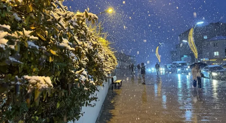 Van ve Hakkari'de kar etkili oldu