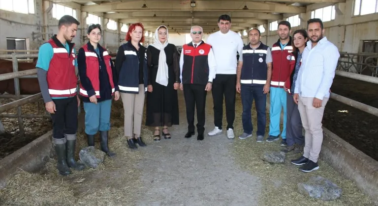 Van'da büyükbaş hayvan işletmeleri denetlendi