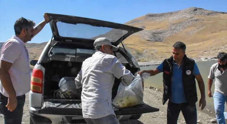 Van'da su kaynaklarına 400 bin sazan yavrusu bırakıldı