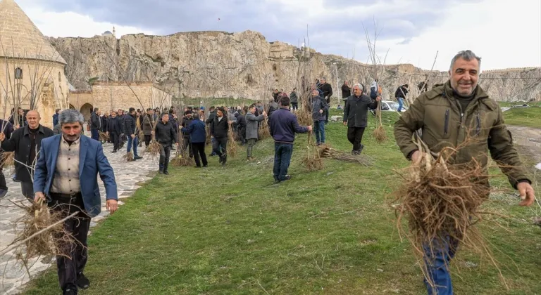 Van'da vatandaşlara ücretsiz fidan dağıtıldı